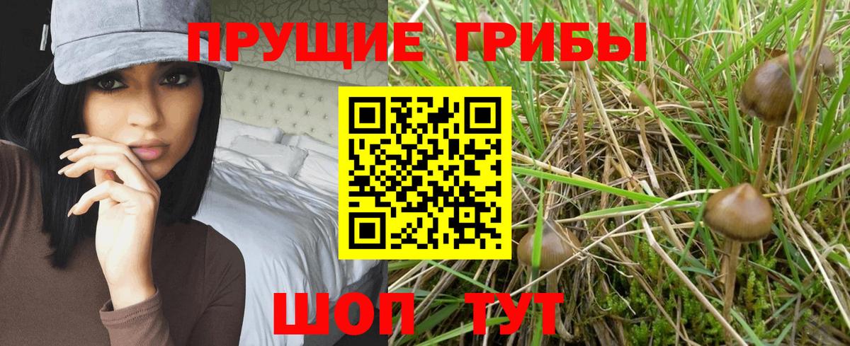 Галлюциногенные грибы GOLDEN TEACHER  Вход с VPN  Кинель 